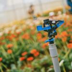 Close-up of a sprinkler in a colorful flower field, enhancing growth in a greenhouse.